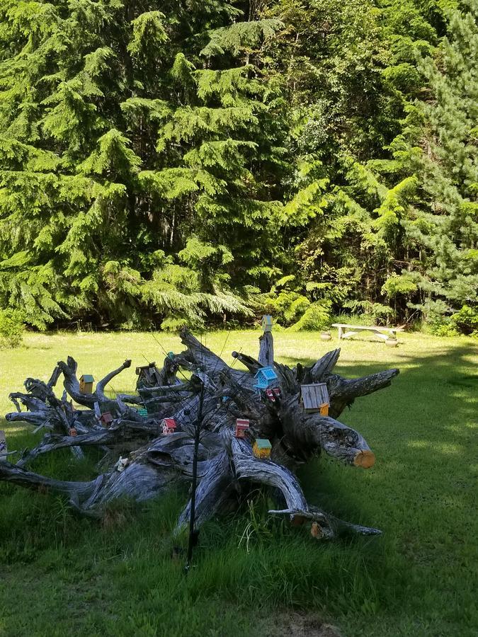 Mulvehill Creek Wilderness Inn And Wedding Chapel Ревелстоук Екстериор снимка