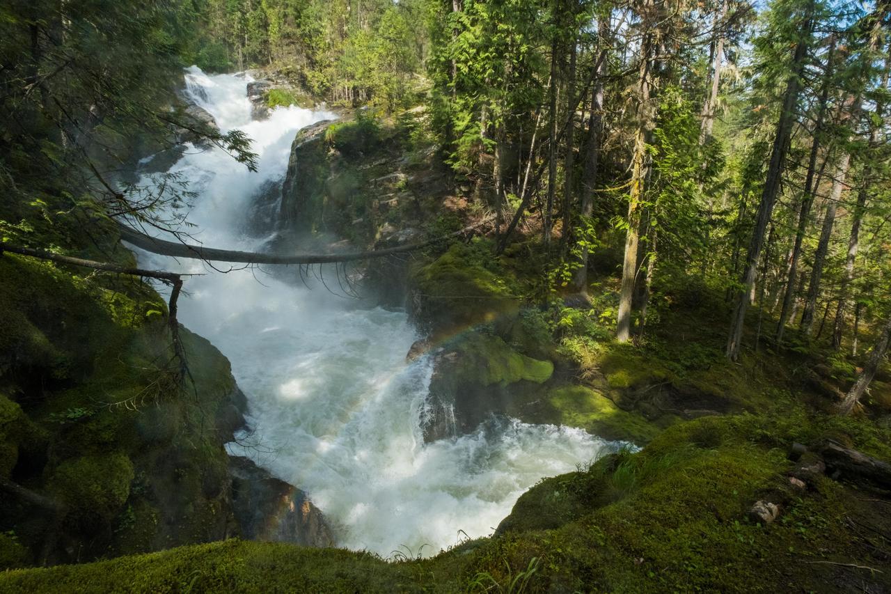 Mulvehill Creek Wilderness Inn And Wedding Chapel Ревелстоук Екстериор снимка